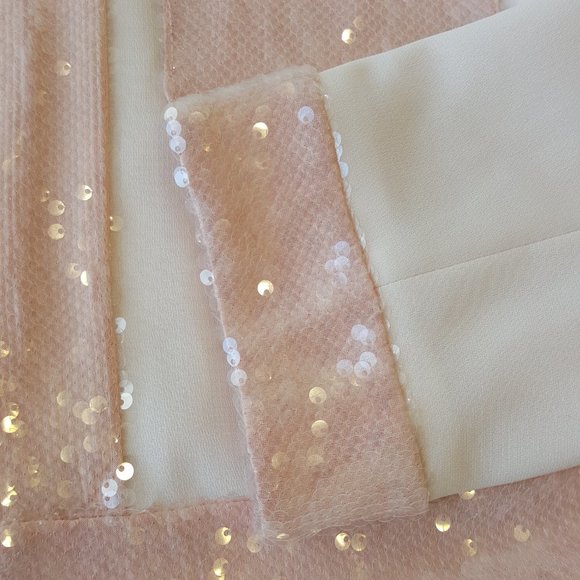 CINQ À SEPT! Ruthy Sequin Stripe Jacket and  Pants in Pink/ Travertine (SET) - Picture 6 of 17